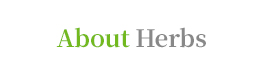 About Herbs